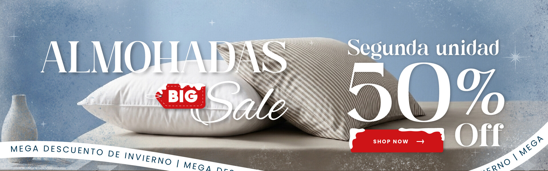 WINTER_BIG_SALE_ALMOHADAS