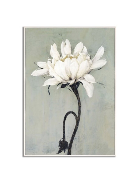 CUADRO CANVAS 40x60cm MARCO FLOR 1 CUADRO CANVAS 40x60cm MARCO FLOR 1
