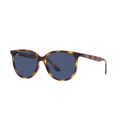 Ray Ban Rb4378 710/80