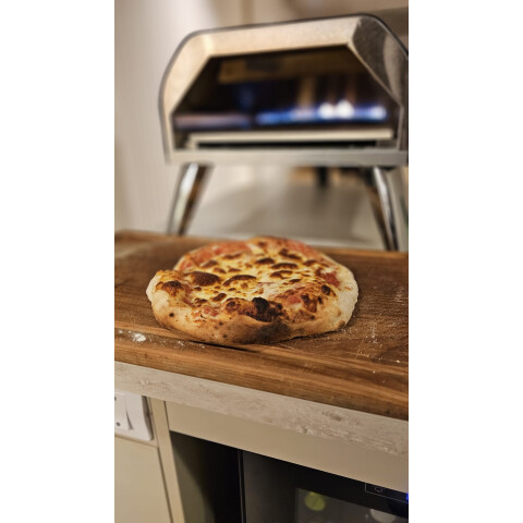 HORNO DE PIZZA A LA PIEDRA A GAS HORNO DE PIZZA A LA PIEDRA A GAS