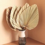 HOJA DE PALMA DECORATIVA 60CM NATURAL HOJA DE PALMA DECORATIVA 60CM NATURAL
