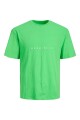 Polera Copenhagen Clásica Island Green