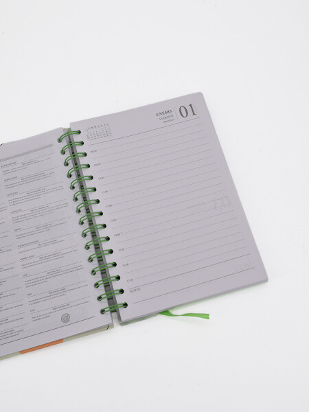 AGENDA 2027 BEIGE