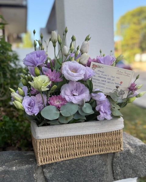 Luz de Lila Luz de Lila