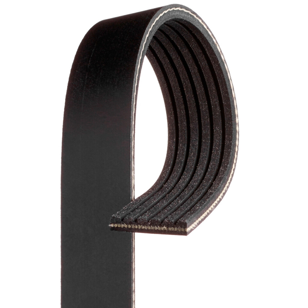 Correa de accesorios