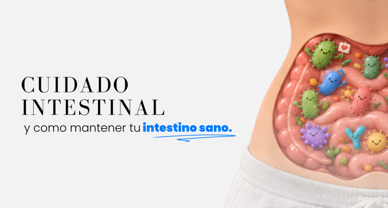 Cuidado intestinal: cómo mantener tu intestino sano