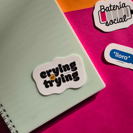 Pack de 5 stickers Mis Petates Verdades
