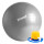 Pelota De Pilates 75cm Fitness Yoga Gym + Inflador Plateado