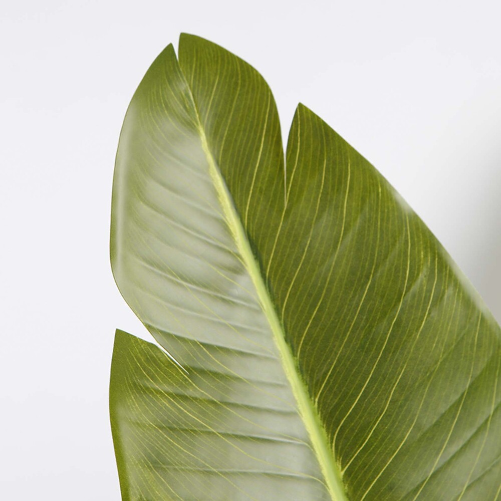 STRELITZIA ARTIFICIAL VERDE ARTIFICIAL Y8480-8-3PS