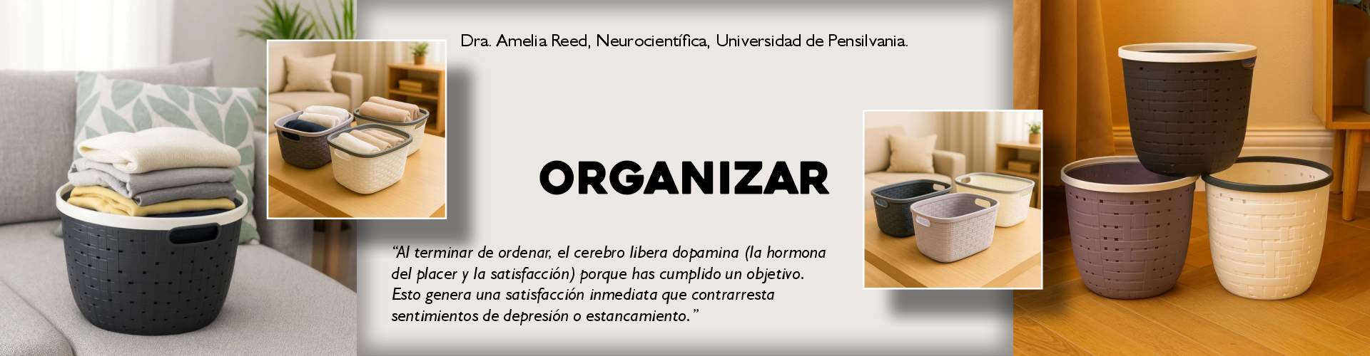 Organizar