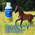 NEO ENTERO SUR 200 ML NEO ENTERO SUR 200 ML