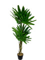 Planta Palmera China 120cm Color Unico