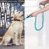 Correa Paseo Perro Elástico Doble Agarre Anti tirones 180cm Variante Color Turquesa