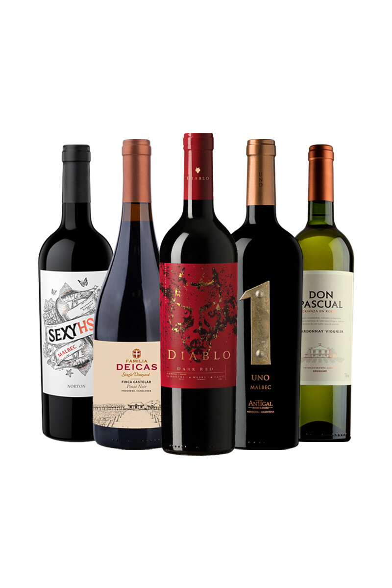 Pack Bacán Selección The Wine Edit x5 vinos Cashmere Feel 