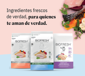 biofresh agosto