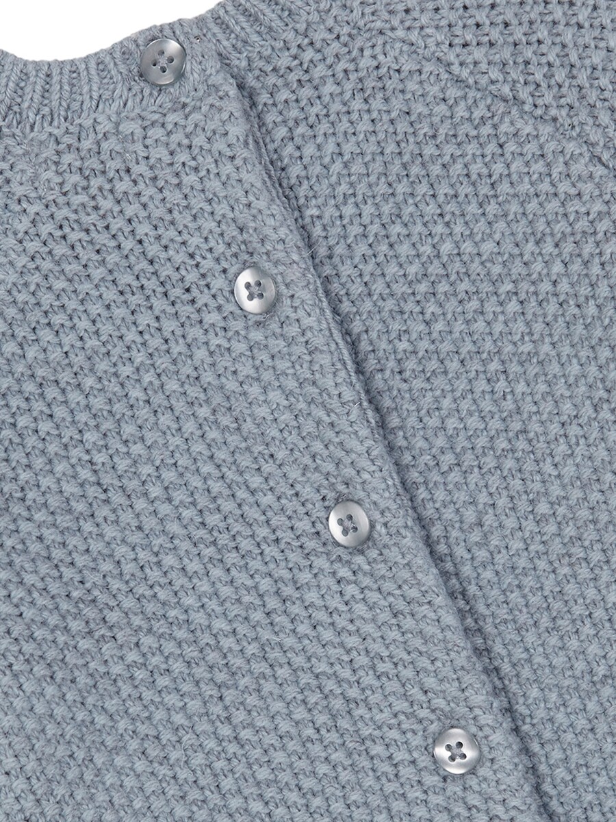 Ranita De Punto Azul Nuevo Melange