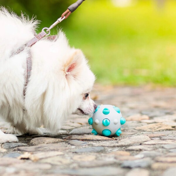 Pelota Juguete Perros Molar Macizo Limpia Dientes Resistente Color Variante Blanco Turquesa