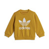 Conjunto Adidas de Niños - IY4025 Mostaza
