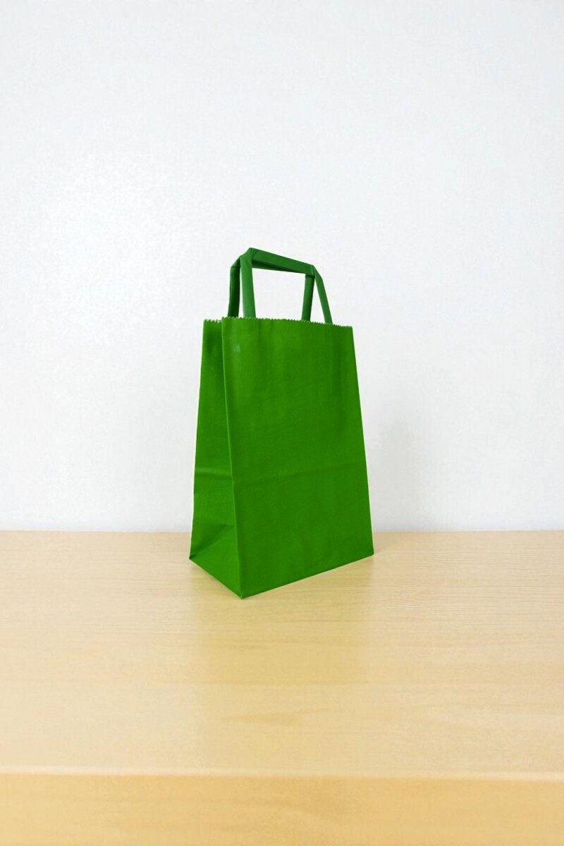 Bolsa lisa acuario 14x08x20 cm - VERDE 