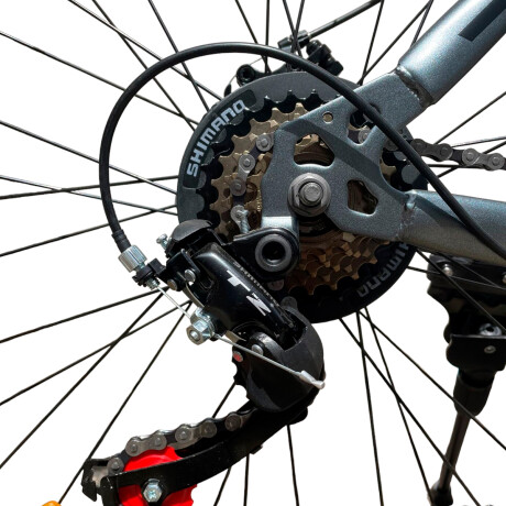 Bicicleta Montaña Expert Patriot Rodado 29 Shimano con Frenos de Disco y 21 Cambios Negro