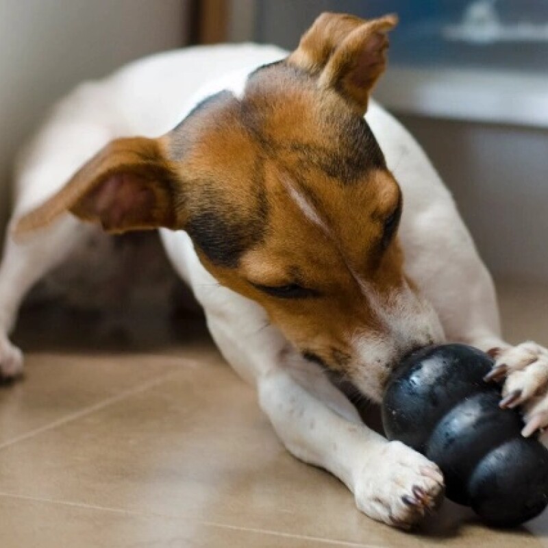 Kong Extreme Small Kong Extreme Small