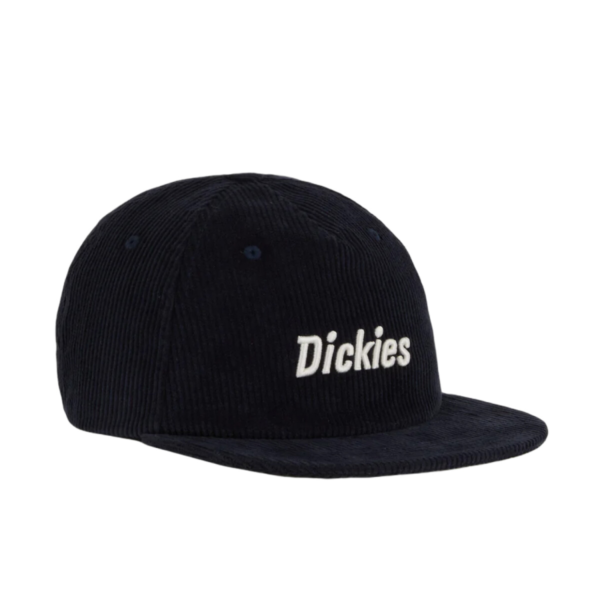 Gorra Dickies Williston - Multicolor 