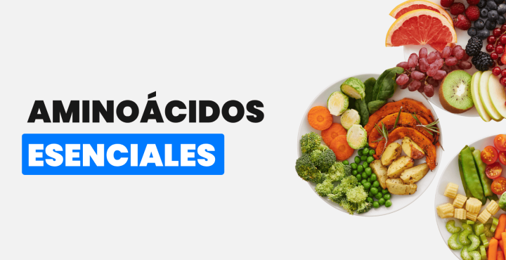 Aminoácidos esenciales