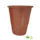 Vaso Biodegradable 360ml x10 Gold Rose