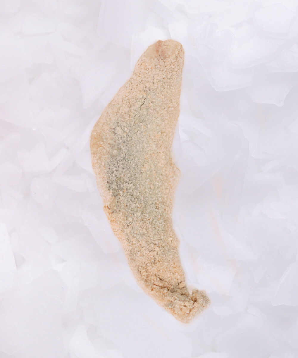 Milanesa de Pescadilla de Red - 500 g 