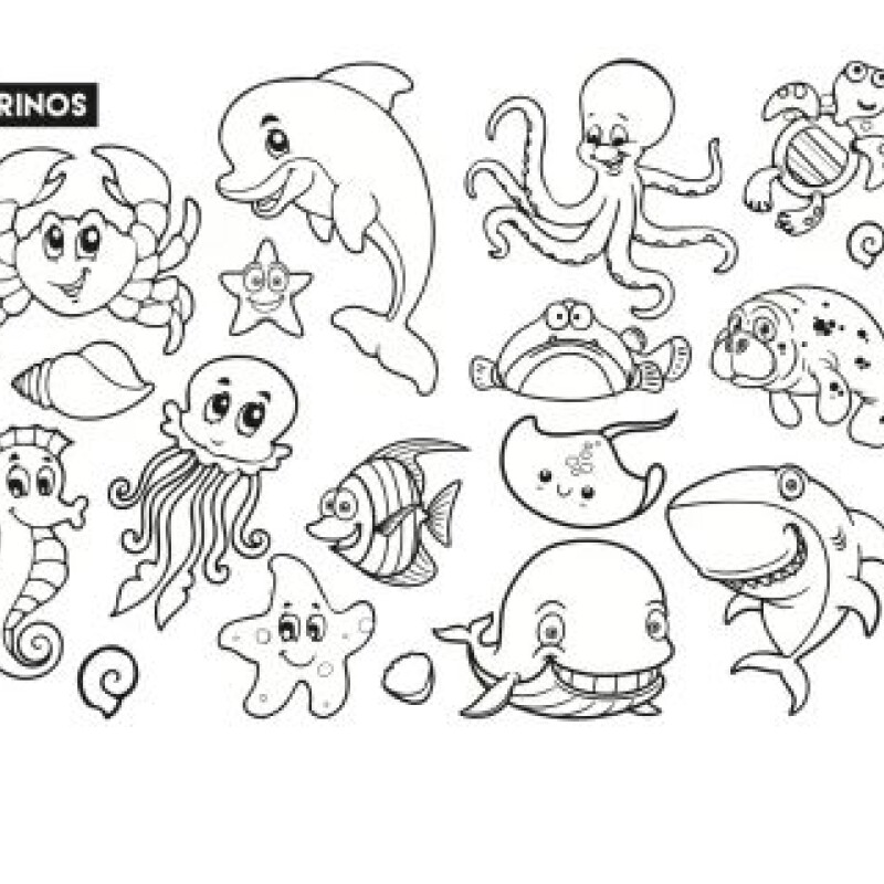 Block de individuales para pintar Block de individuales para pintar