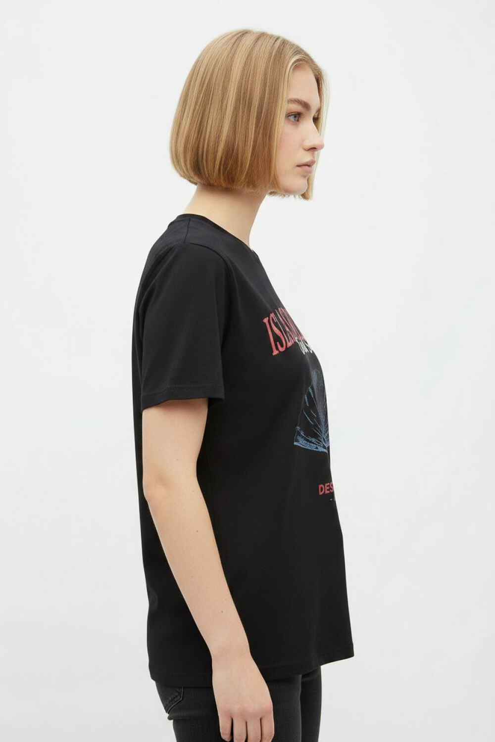 Remera Antoine Estampado 2
