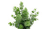 Planta Artificial - Diametro 9cm Planta Artificial - Diametro 9cm