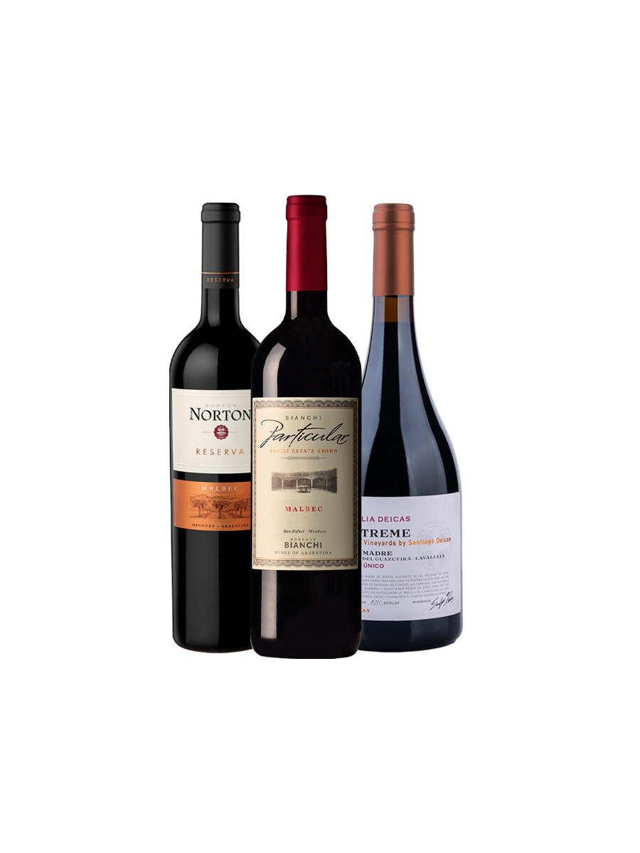 Pack Bacán Selección En su punto x3 vinos Pack Bacán Selección En su punto x3 vinos