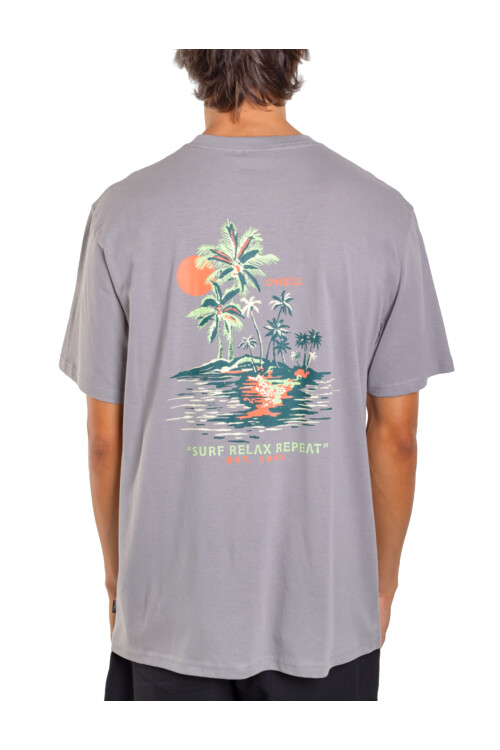 Remera O'Neill Oceanside Gris