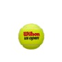 Lata de 3 Pelotas Tenis US Open RD Tball 3 Ball Can Unisex Green