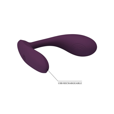 Vibrador Usb Con App Pretty Love Baird Violeta