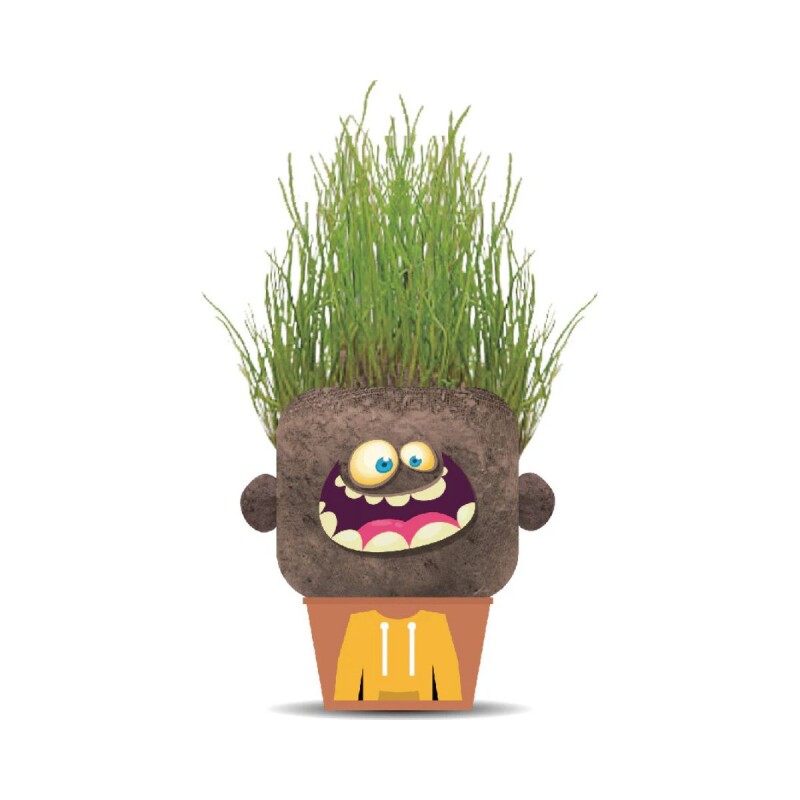 Juego Plant pals Hape Monstruos Diseños variados Juego Plant pals Hape Monstruos Diseños variados