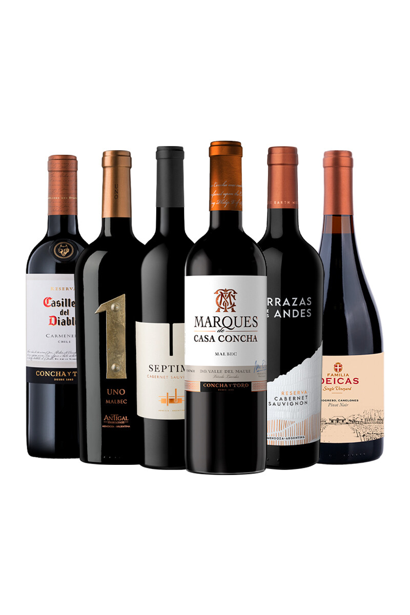 Pack Bacán Selección de Momentos Para Descubrir x6 vinos 