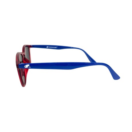 Lentes de sol Piece of cake DURHAM Rojo/Azul
