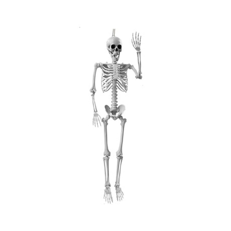 Esqueleto plástico decorativo para colgar Halloween Transparente
