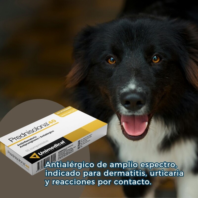 PREDNISOLONA 40 MG X CAJA DE 10 COMPRIMIDOS PREDNISOLONA 40 MG X CAJA DE 10 COMPRIMIDOS