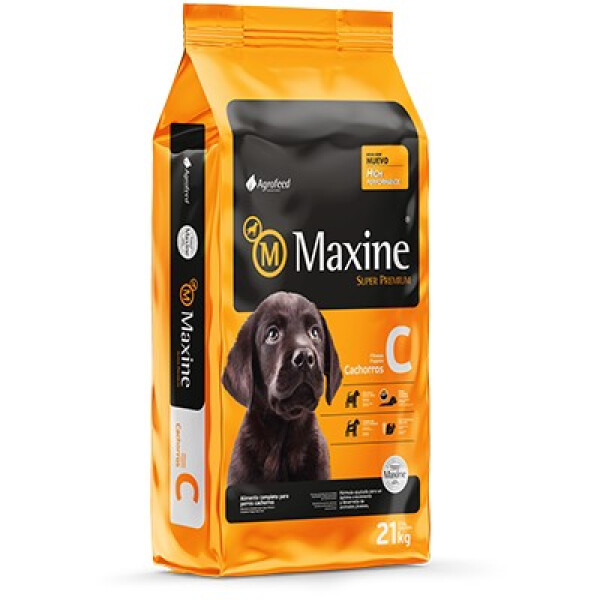 MAXINE CACHORRO DE 21 KG MAXINE CACHORRO DE 21 KG