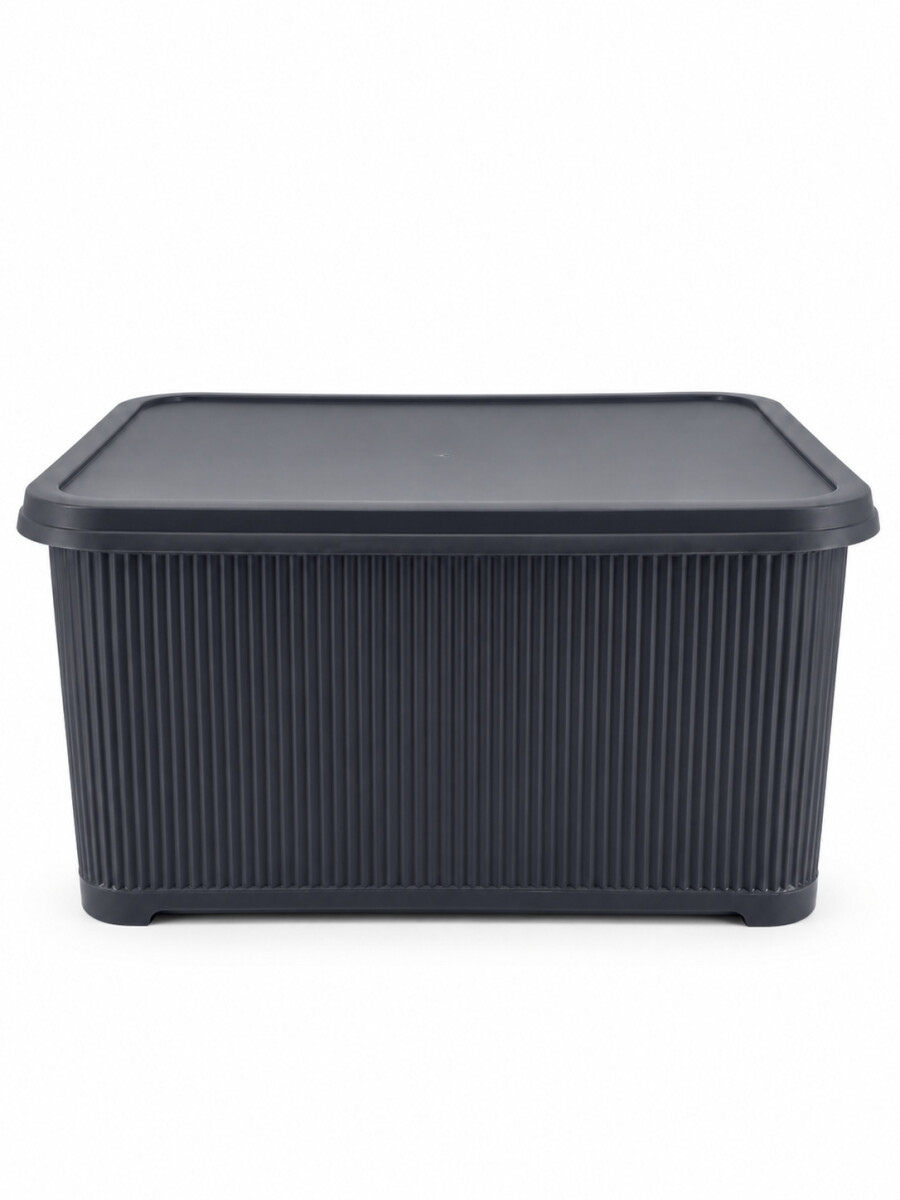 CAJA ORGANIZADORA - NEGRO 
