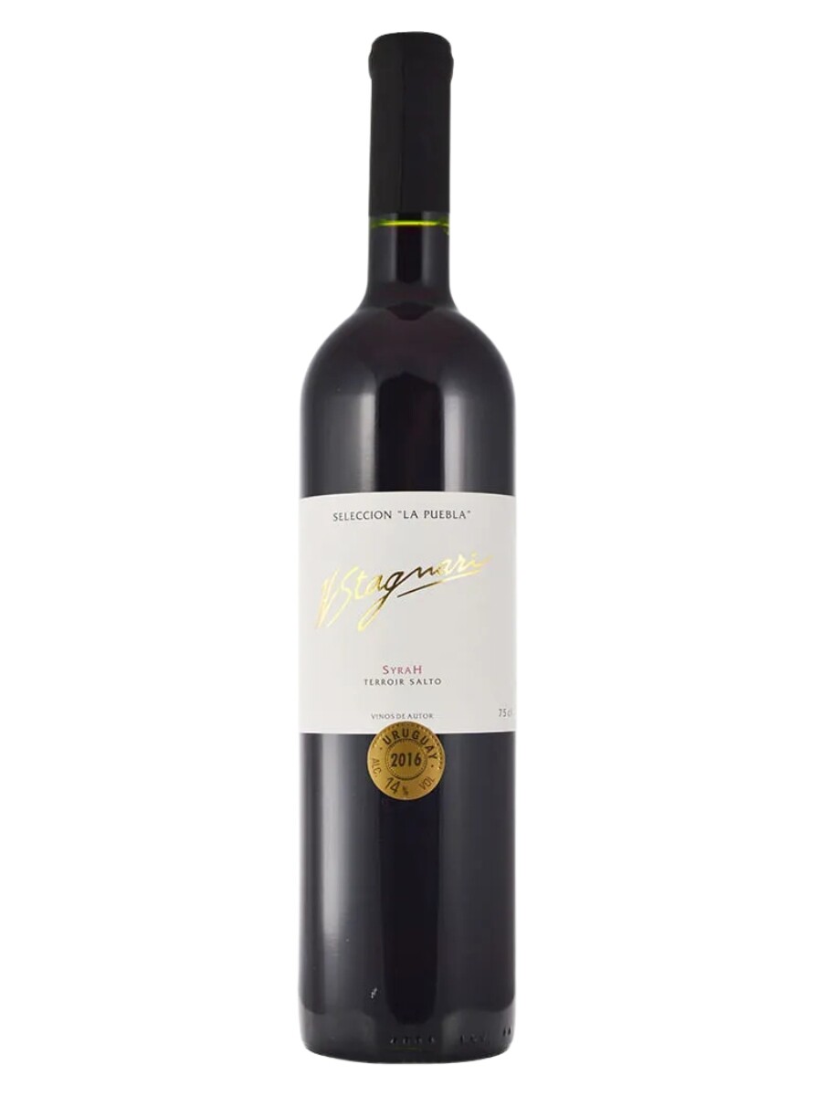H Stagnari selección "La Puebla" Syrah 