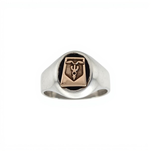 Anillo Profesión Contador - Plata y Oro-Sin Piedra-AP5045 ap5045