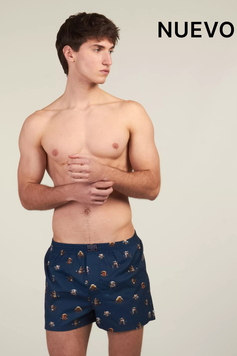 Bóxer Kevingston DY8