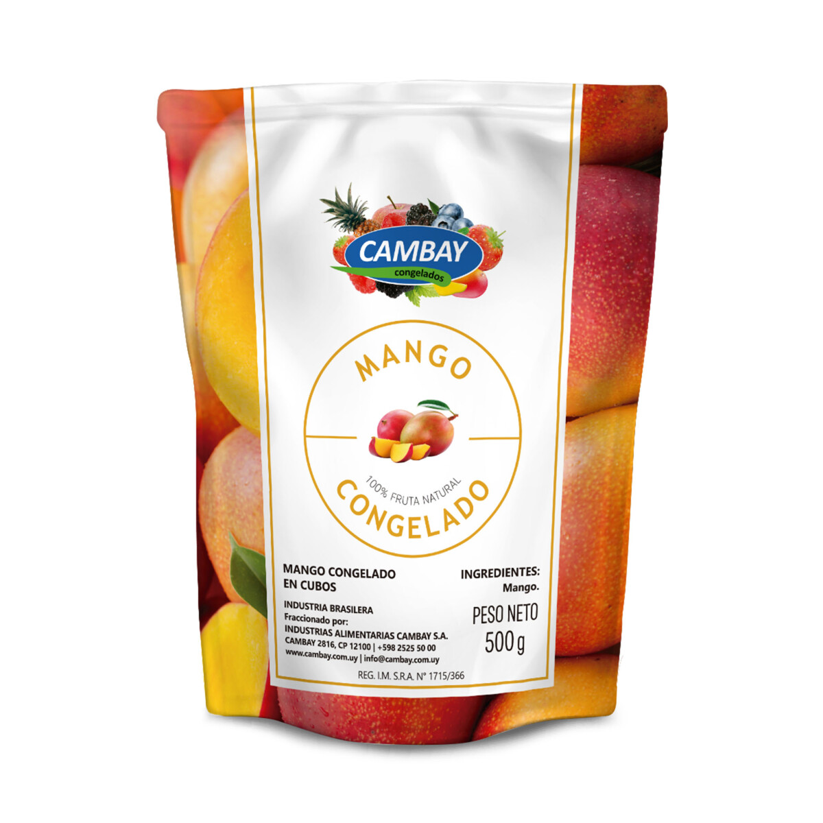 Mango Cambay 500 grs 