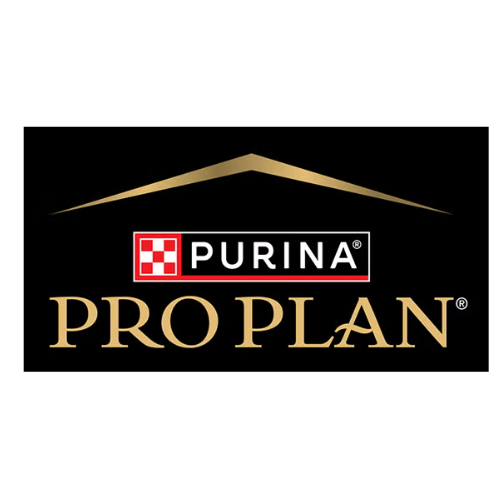Pro Plan