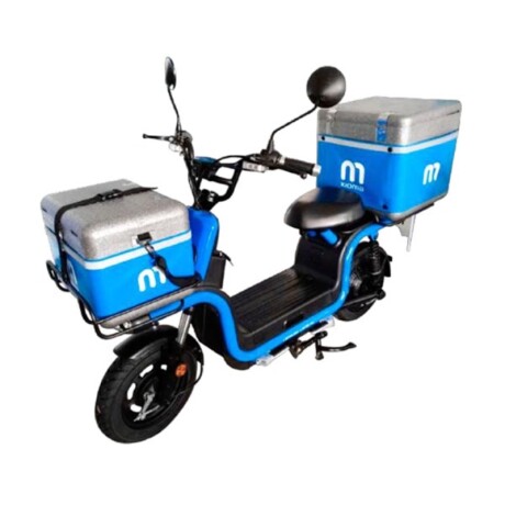 Moto Electrica Kiwi Delivery Bateria Litio Unica