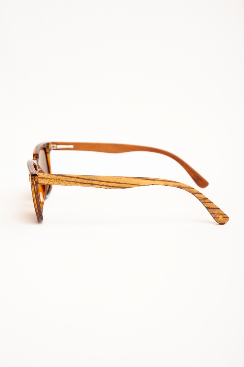 Lentes De Sol Polarizados Marron
